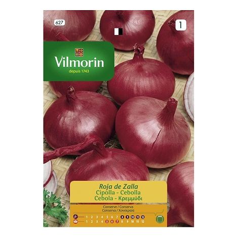 ZALLA VILMORIN GRAINES D'ONION ROUGE, 3GR