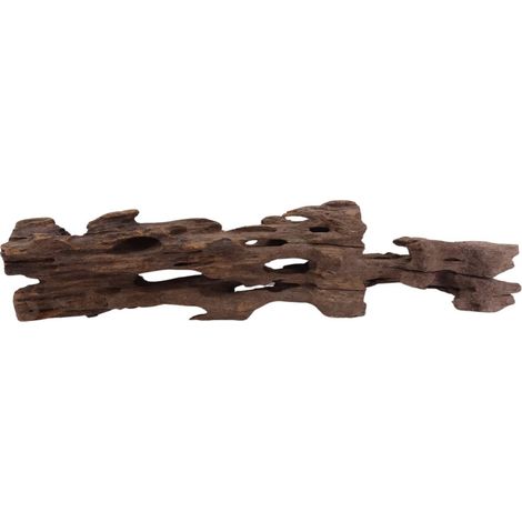 L Honey Comb Wurzel Nr.2064 Holz Deko Aquascaping