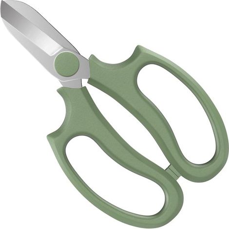 Forbici da potatura/innesto da giardino, realizzate in acciaio di alta qualità, attrezzo orticolo professionale, perfetto per sostenere le piante e per la manutenzione del giardino (verde). (1/5)