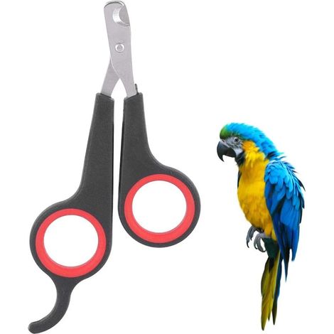 Coupe-ongles pour petits animaux - Coupe-ongles et ciseaux à ongles - pour oiseaux, perroquets, chatons, lapins (1/5)