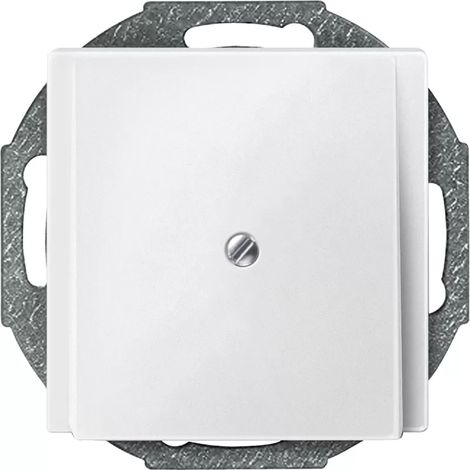 Merten Zentralplatte Leitungsauslass, polarweiß, System M 295619 (1/2)