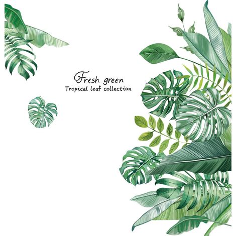 Decal Murale Feuilles Tropicales - Autocollant Mural PVC Auto-Adhésif - Décoration Murale Étanche pour Chambre Salon Bureau - 1 Pièce (1/5)