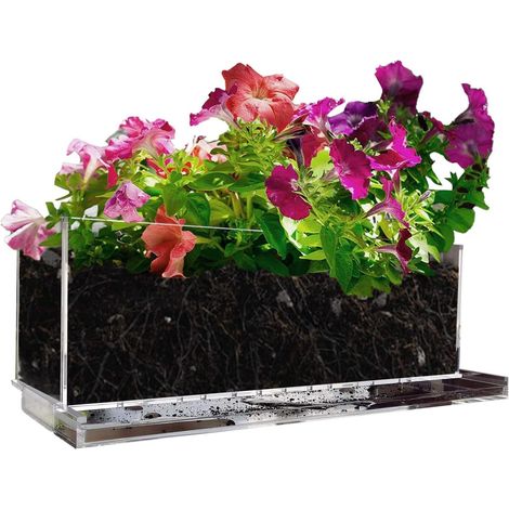 aus Acryl rechteckig transparent eleganter Behälter