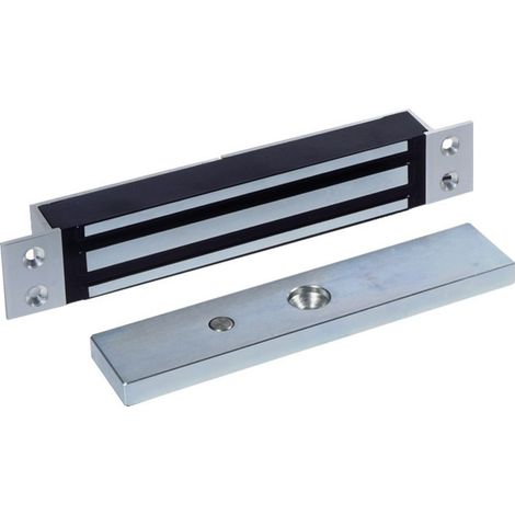 Sewosy Ventosa empotrable de aluminio fijación 500 kg