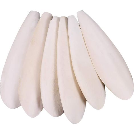Parrots Chew Toys 6 Pieces Natural Cuttlefish Bone for Parrots Cage Birds Reptiles Tortoises Snails,10-12cm (1/5)