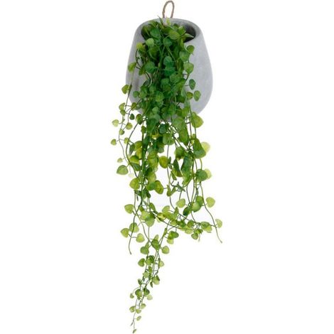 Atmosphera – Lierre artificiel en pot 62 cm gris clair – Pot en ciment – Décoration intérieure tendance – Plante en polyéthylène durable