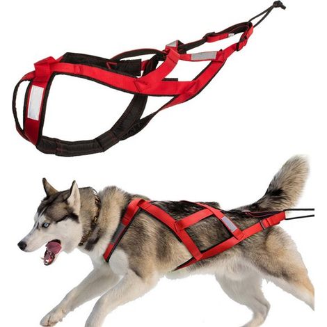 Arnés reflectante antitirones para el pecho del perro con correa (rojo, talla L), arnés de seguridad para correr y actividades al aire libre. (1/5)