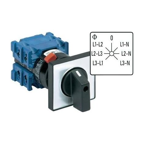 Kraus & Naimer CH10 A007-624 FT2 Interruptor Gris