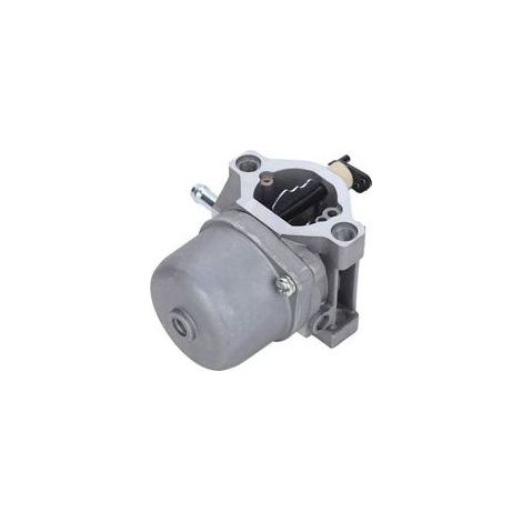 Carburateur Briggs & Stratton Tbest 698945 12,5 CV, carburateur Nikki 28D707, kit de réparation de carburateur 289707, tondeuse Powerbuilt série 3 105 MTD 13DH432F600 (1/4)