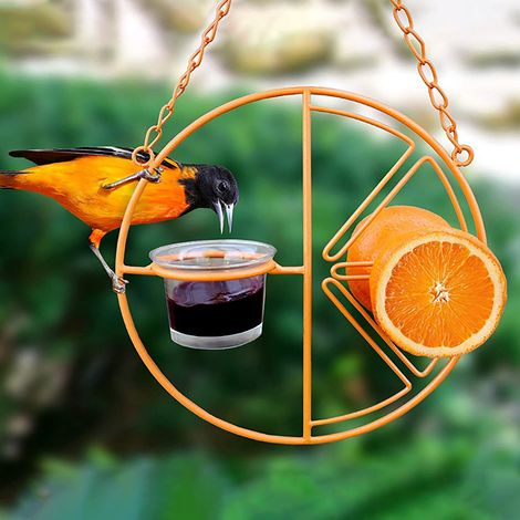 Mangeoire À Oiseaux - Mangeoire Suspendue - En PP Robuste Avec 4 Orifices De Distribution Pour Jardin Extérieur - 1 Pièce (1/5)