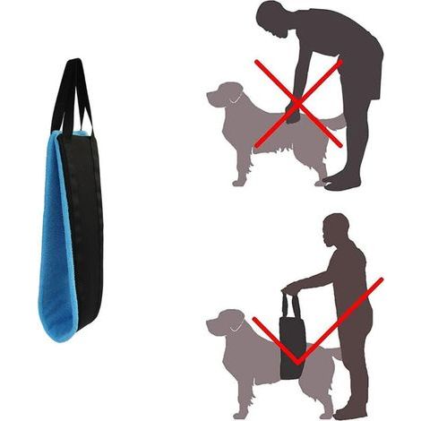 blauer tragbarer Hundetransportkorb für Hinterbeine, Hüftstützgeschirr zum Anheben des Hinterteils, für die hundegestützte Rehabilitation von Kreuzbandverletzungen. (1/4)