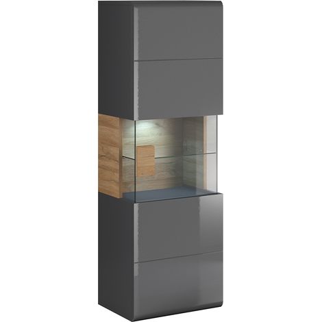 Wandvitrine 1 Tür mit LED Jules Grau und Holz