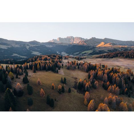 Tableau sur toile champ automnal 30x45 cm - Impression sur Toile Murale Décorative - Image imprimée en HD sur Toile - Toile sur Châssis en Bois FSC - Fabriqué en France (1/5)