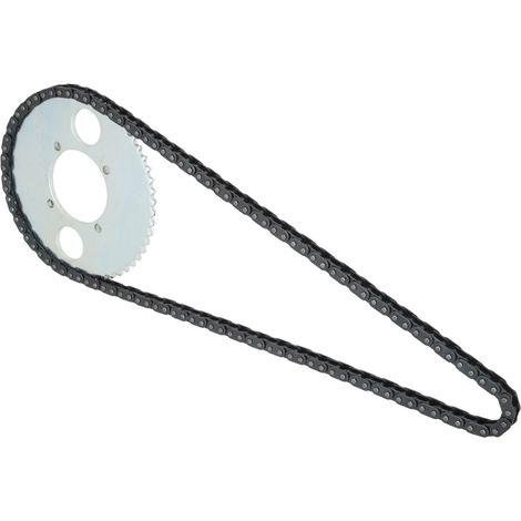 Pignon arrière T8F 54T à 116 maillons pour moteurs deux temps de 47 et 49 cm³. (1/5)