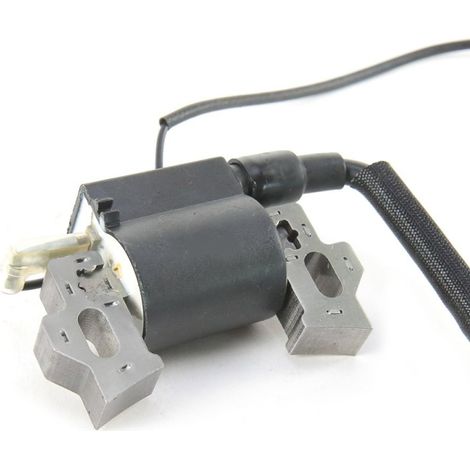 Bobine d'allumage pour Honda  GXV120 GXV140 GXV160 (1/5)
