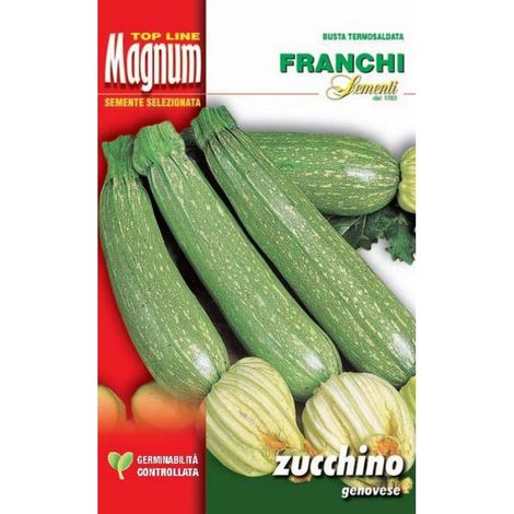 SEMI ZUCCHINO GENOVESE BUSTA MAGNUM FRANCHI SEMENTI