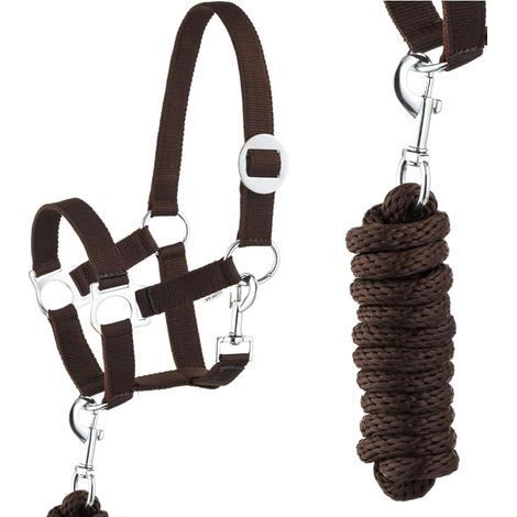 1 Kit Longe Licou Cheval Nylon Réglable Corde 2m Mousqueton Équitation Poney (1/5)