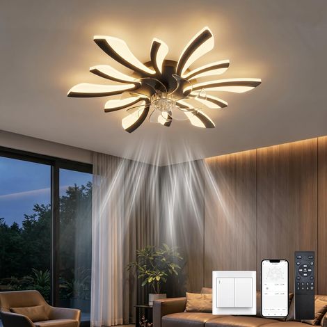 Luminaire Plafonnier Ventilateur Telecommande DC Lustre Ventilateur de Plafond et Silencieux Minuterie Dimmable été et Hiver Réversible Lumière Chambre Ventilateur, Noir (1/5)