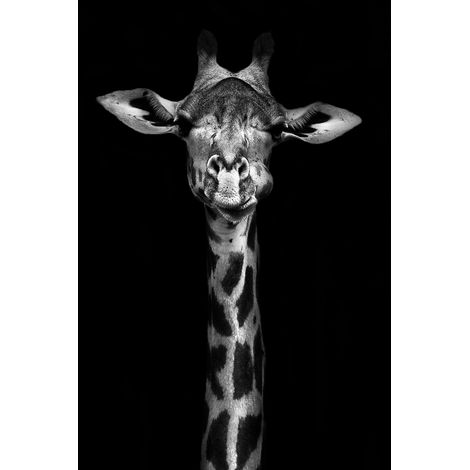 Tableau girafe haute en portrait Toile imprimée (1/5)