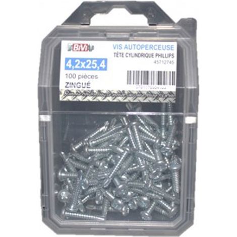 Vis autoperceuse tête cylindrique empreinte Phillips® Zingué - 4,8 x 19 mm Coque de 100 pièces - BIVI