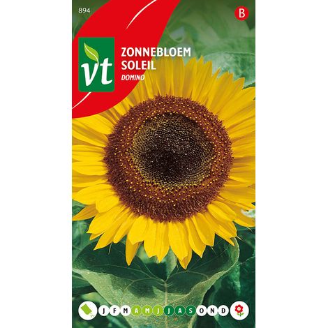 Tournesol Domino - Ca. 1 gr (Livraison Gratuite) (1/2)