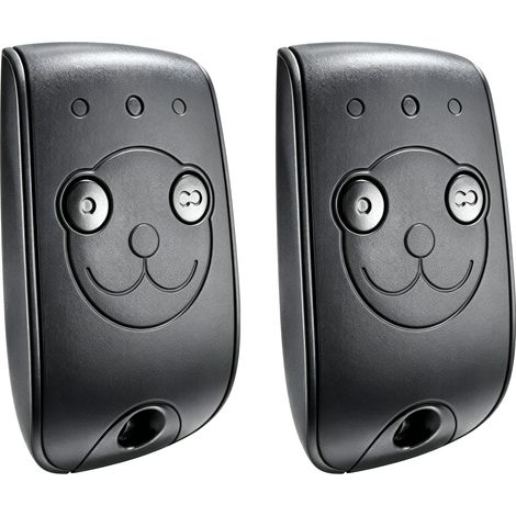 Somfy 1841026 - Lot de 2 Télécommandes Keytis RTS 2 Canaux pour Moteurs de Portail et Porte de Garage
