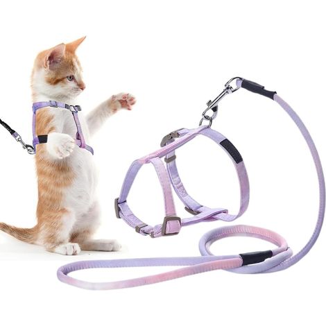 Harnais pour chat, ensemble harnais, laisse et collier, harnais réglable à gradient pour chaton, harnais anti-fugue avec laisse (violet) (1/5)