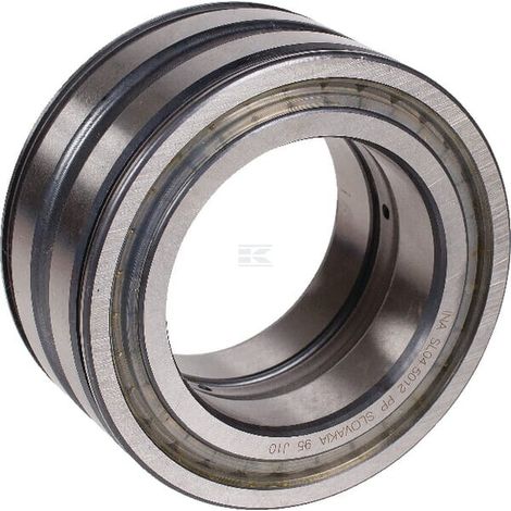 Cylindrical roller bearing INA/FAG SL045014PP2NR (1/2)