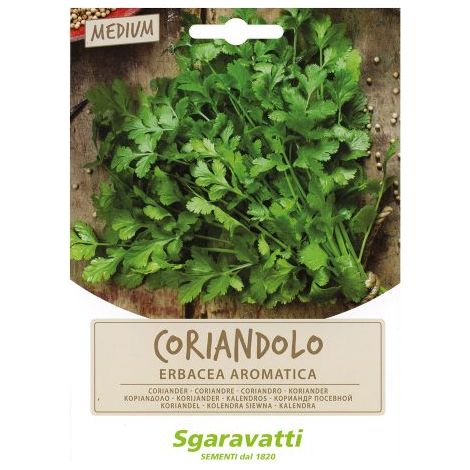 SEMI PER ORTAGGI E VEGETALI coriandolo 10 PZ