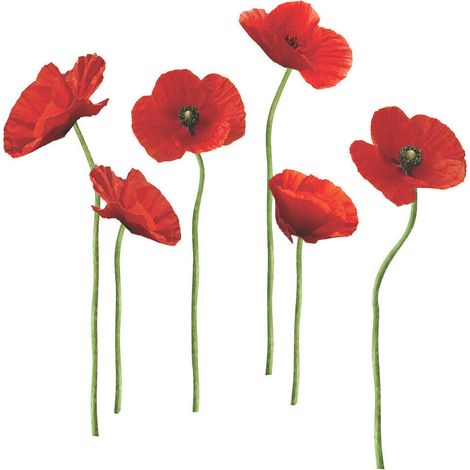 Stickers - Coquelicots - Hauteur 45,7 cm (1/3)
