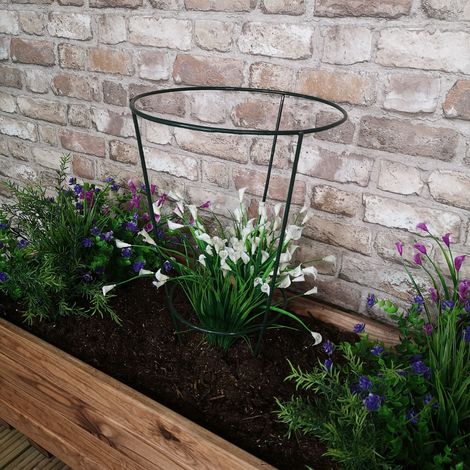 Tom Chambers Urban Green Conical Garden Plant Support Ring 30cm - Medium (1/5)