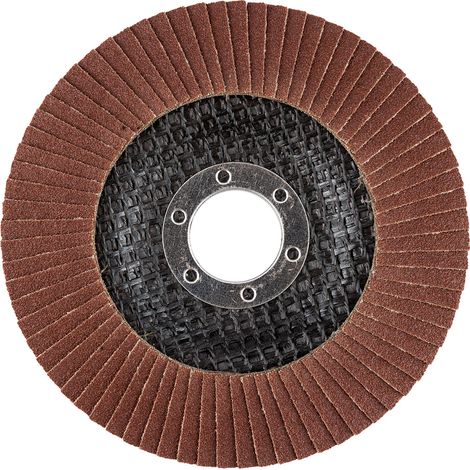 Roue à lamelles 115 x 22,2 mm, P120 (1/4)