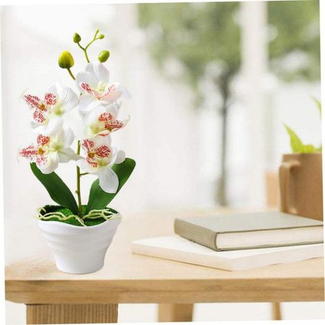 Orchidée Artificielle - Phalaenopsis - 5 Têtes - Pot Blanc - Hauteur 27 Cm - Fleur Artificielle (1/5)