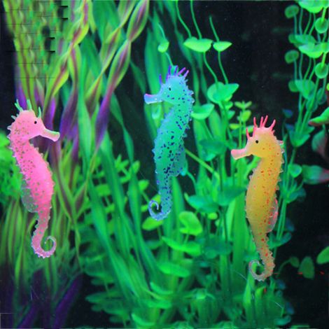 Ornement lumineux hippocampe pour aquarium, lot de 3 (1/5)