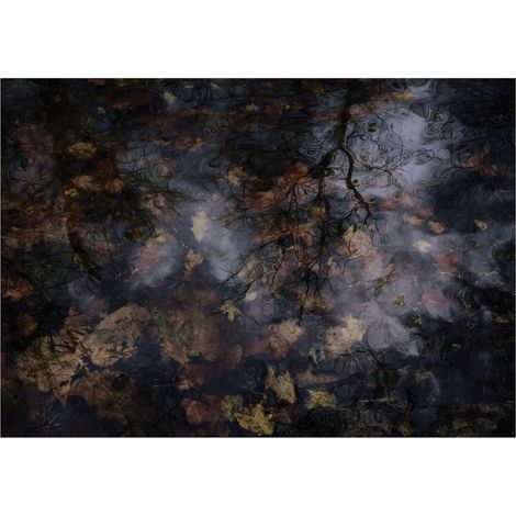 Fototapete Abstrakt 400x280 cm Grün Braun Einfacher Montage Hochwertige Flizelinqualität (1/5)