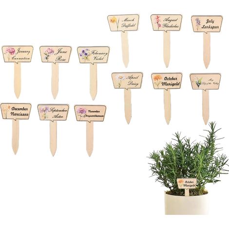 12 Stück Holz Garten Pflanzenmarker Wetterfeste