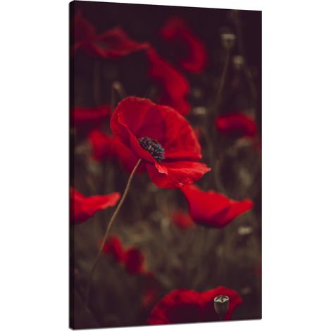 Stampa su tela "Botanica Papaveri Rossi" 70x120 cm