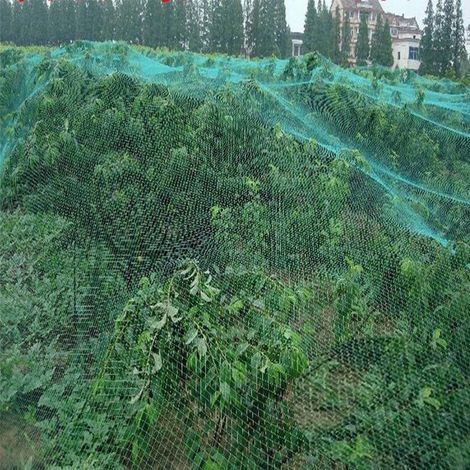 Vogelschutznetz für Garten, Obstbäume, Gemüse, Pflanzen und Teich – 4 m x 10 m (2 Stück), Grün (1 Stück/2 Stück/4 Stück) (1/4)