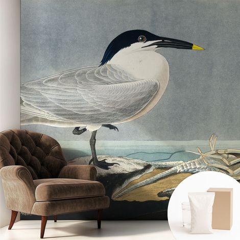 Tapete Vliestapete mit Kleber modern - Wanddeko für Küche - Klebefolie Wand - luxus Look Ornithologische Eleganz 250x250 cm (1/5)