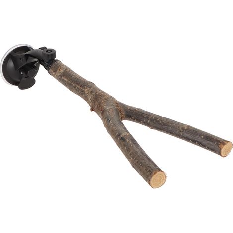 Perchoir interactif antidérapant en bois pour perroquets de petite et moyenne taille, avec ventouses, 25 cm / 9,8 pouces. (1/5)