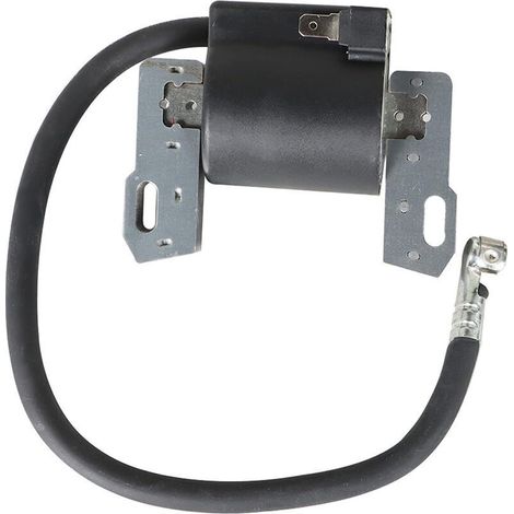 Bobine d'allumage haute tension pour moteur Briggs & Stratton (références : 591420, 793281, 496914, 697038) (1/4)