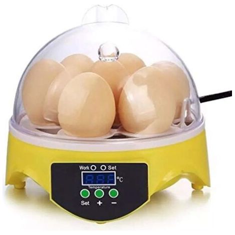 Incubateur 7 œufs avec visibilité à 360° pour poules, canards, oies, perroquets et cailles, avec contrôle de la température