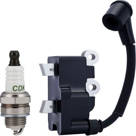 Bobine d'allumage pour 291337001 RY252CS RY253SS RY251P (1/3)