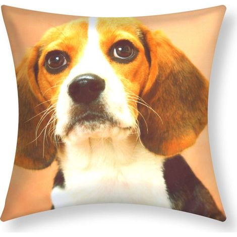 Housses de Coussin - AVIZAR - Lot de 2 - 40x40 cm - Motif Chien Beagle - Marron (1/4)