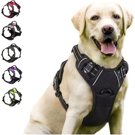 Pettorina per cani, pettorina per cani, sicurezza per animali domestici, pettorina per cani da tiro, riflettente e luminosa, per cani di taglia grande (1/5)