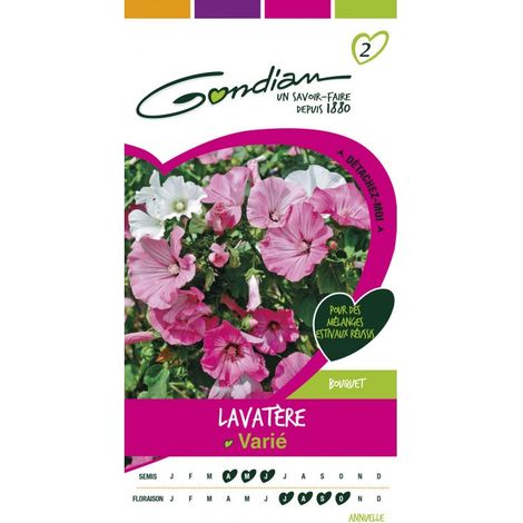 Gondian - Lavatère Varié (1/3)