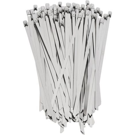 200 Pièces Attache Câble Acier Inoxydable 4.6mm Largeur Collier Serrage Autobloquant pour Fils et Tuyaux
