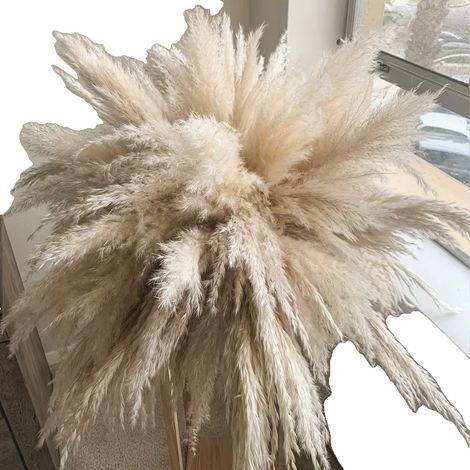 Decoración con hierba de la Pampa, materiales naturales secos, versátil para eventos, estilo 1 (1/2)