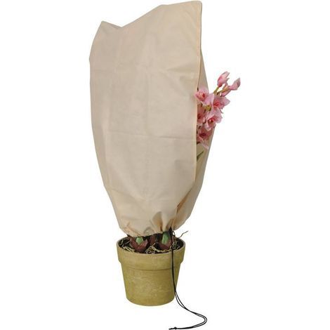 Schutzfolie d'Überwinterung und Schutz für Pflanzen 80x60cm - Set von 2 – sicher und komfortabel in der Handhabung (1/4)