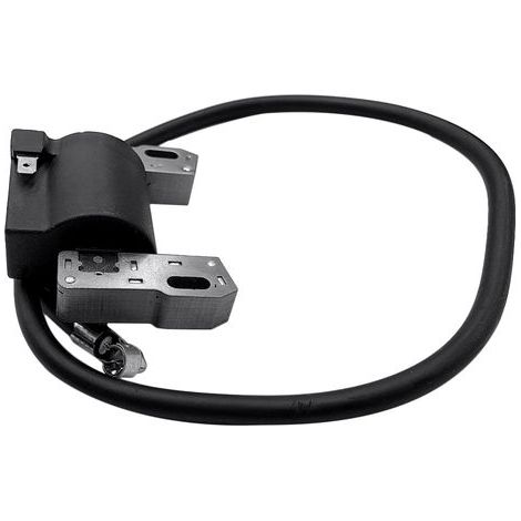 Zoternen Kit de bougies d'allumage pour moteur Briggs & Stratton 7 HP - 16 HP, cylindres horizontaux et verticaux à double tête en L, pièces de rechange automobiles 398811, 395492, 398265 (1/5)